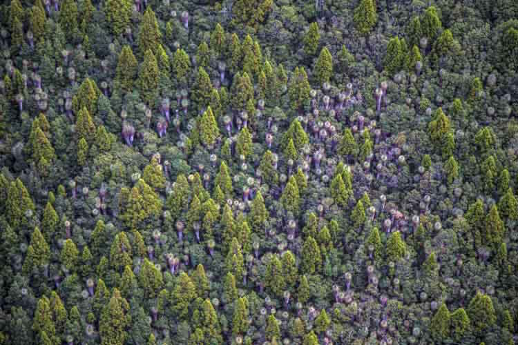 tasmania photo tour example 22